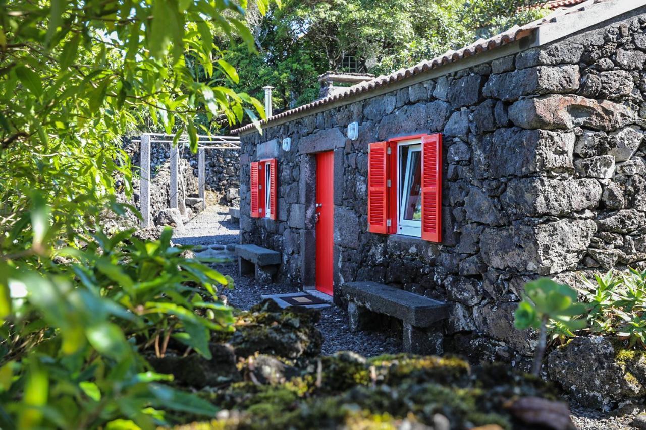 Adega Baia Azul - The Essence Of Pico Chalet São Roque do Pico